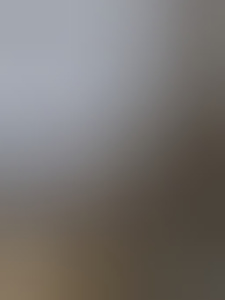 daanvdz96