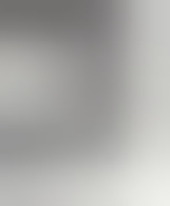 dominus-e