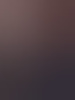exhibsub